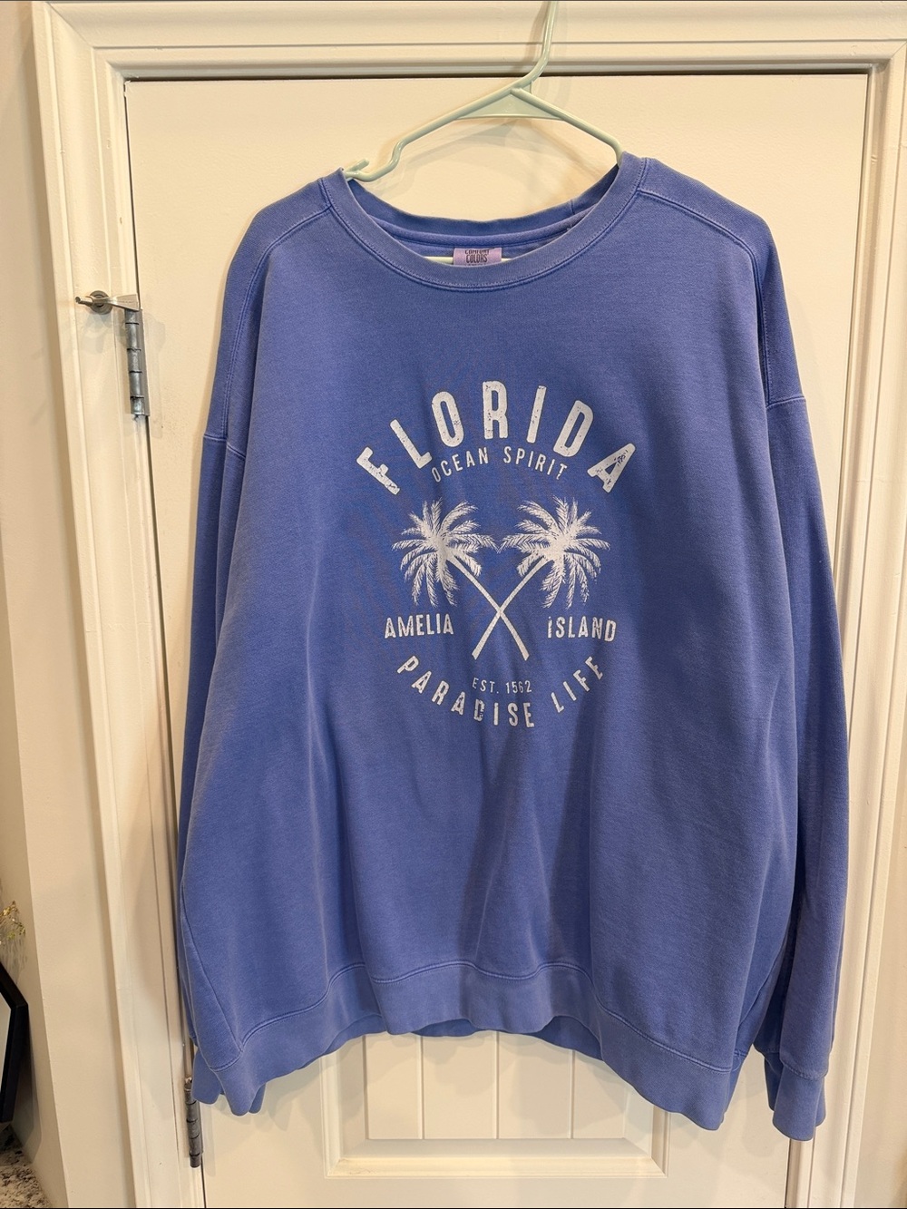 Comfort Colors Florida Amelia Island Graphic Crewneck Sweater - Blue
